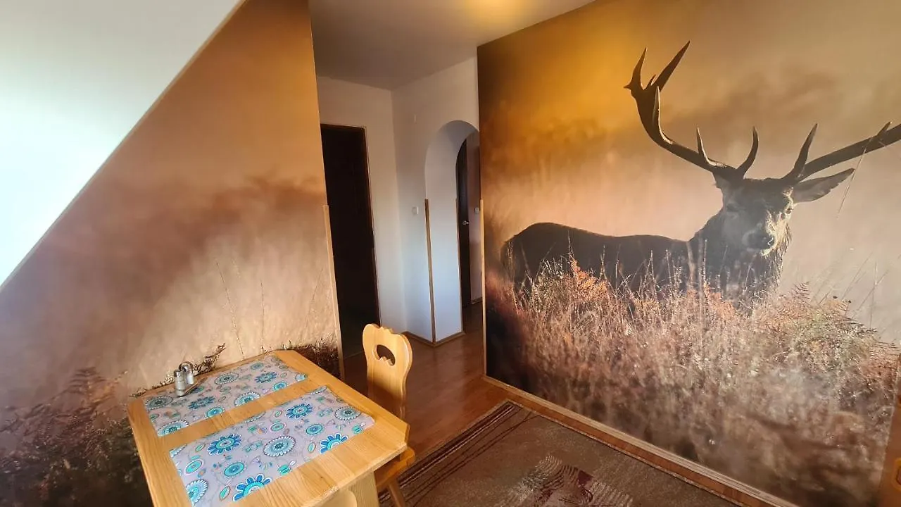 Séjour chez l'habitant Appartement Wynajem Pokoi Magdalena à Zakopane